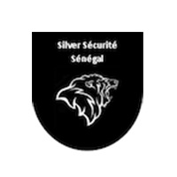 Silver securité