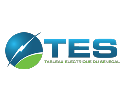 TES